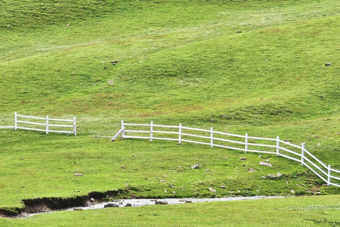 Dahai Grassland Mountain